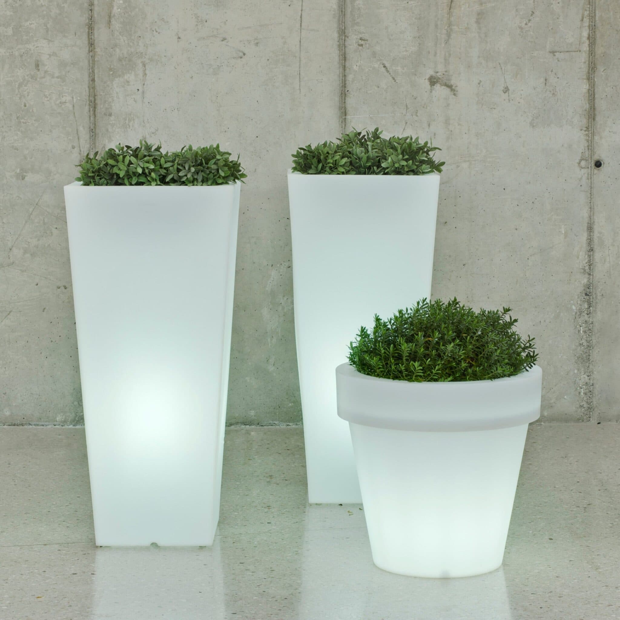 Vaso Melisa 40 con Cavo New Garden