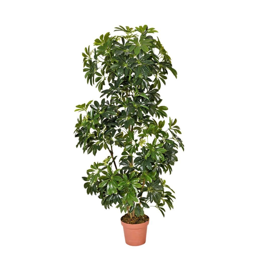 Catral Artificial Schefflera Plant