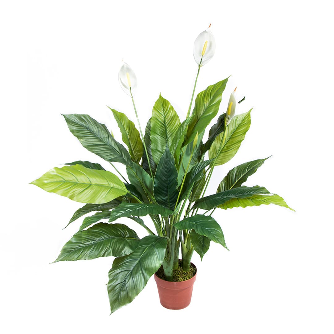 Catral Wind Sail Artificial Plant
