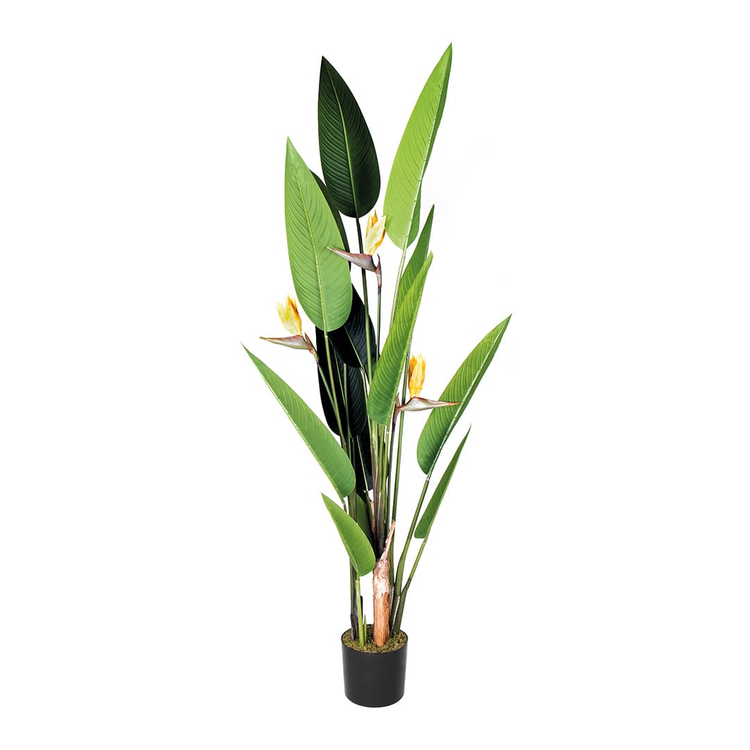 Pianta artificiale Fiore Strelitzia Catral