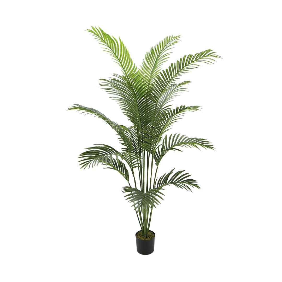 Catral Palm Tree Artificial Plant