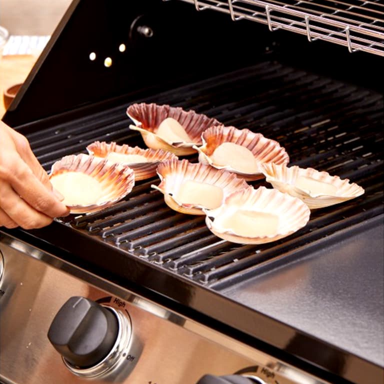 Barbecue da Incasso Discovery 1200E 4B