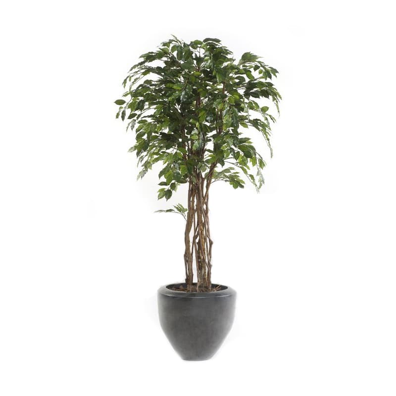 Kunstficus Eco Decoplanta