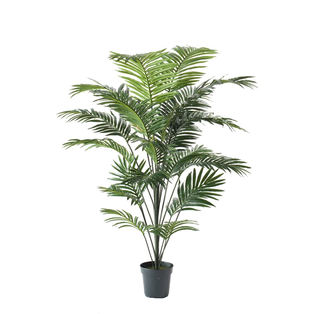 Palmträd Deluxe Decoplanta