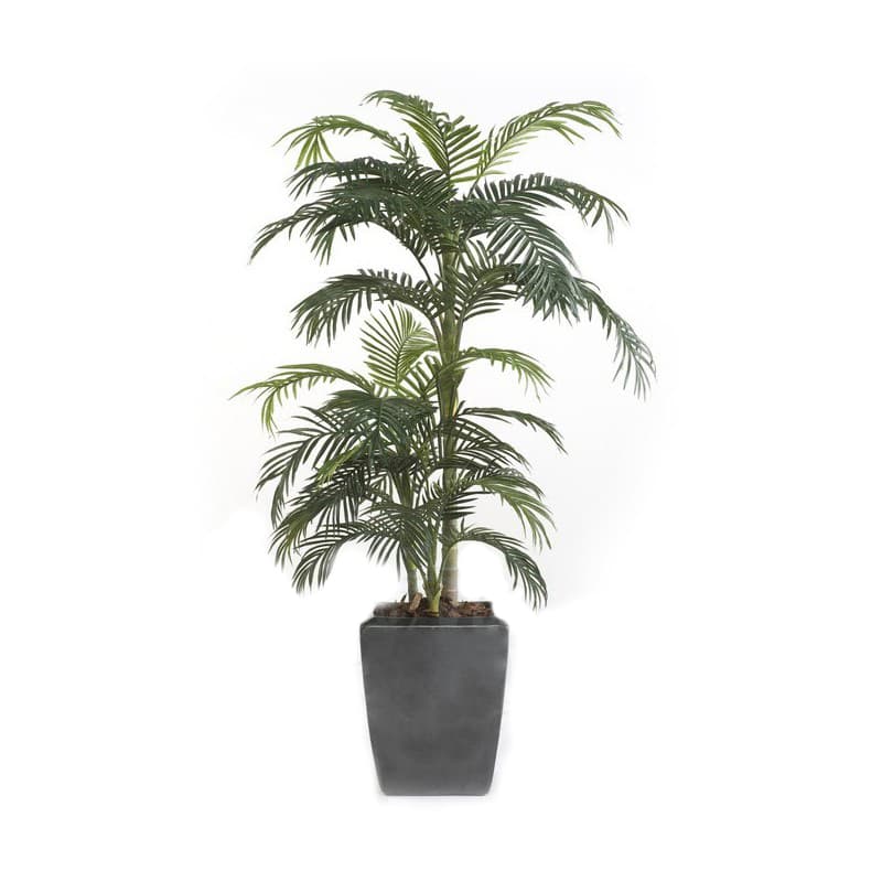 Palma Premium Decoplanta