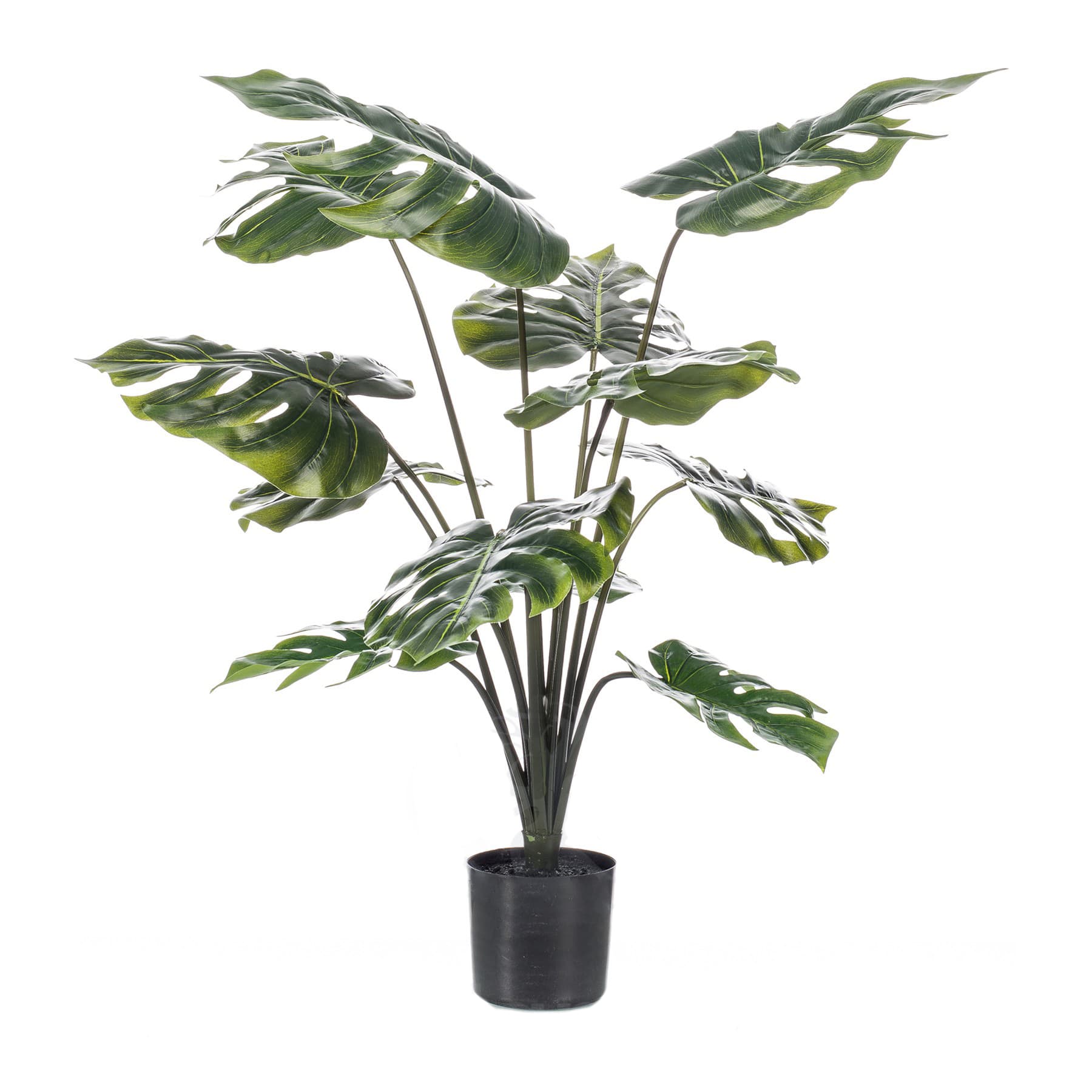 Monstera Palm Plant Decoplanta