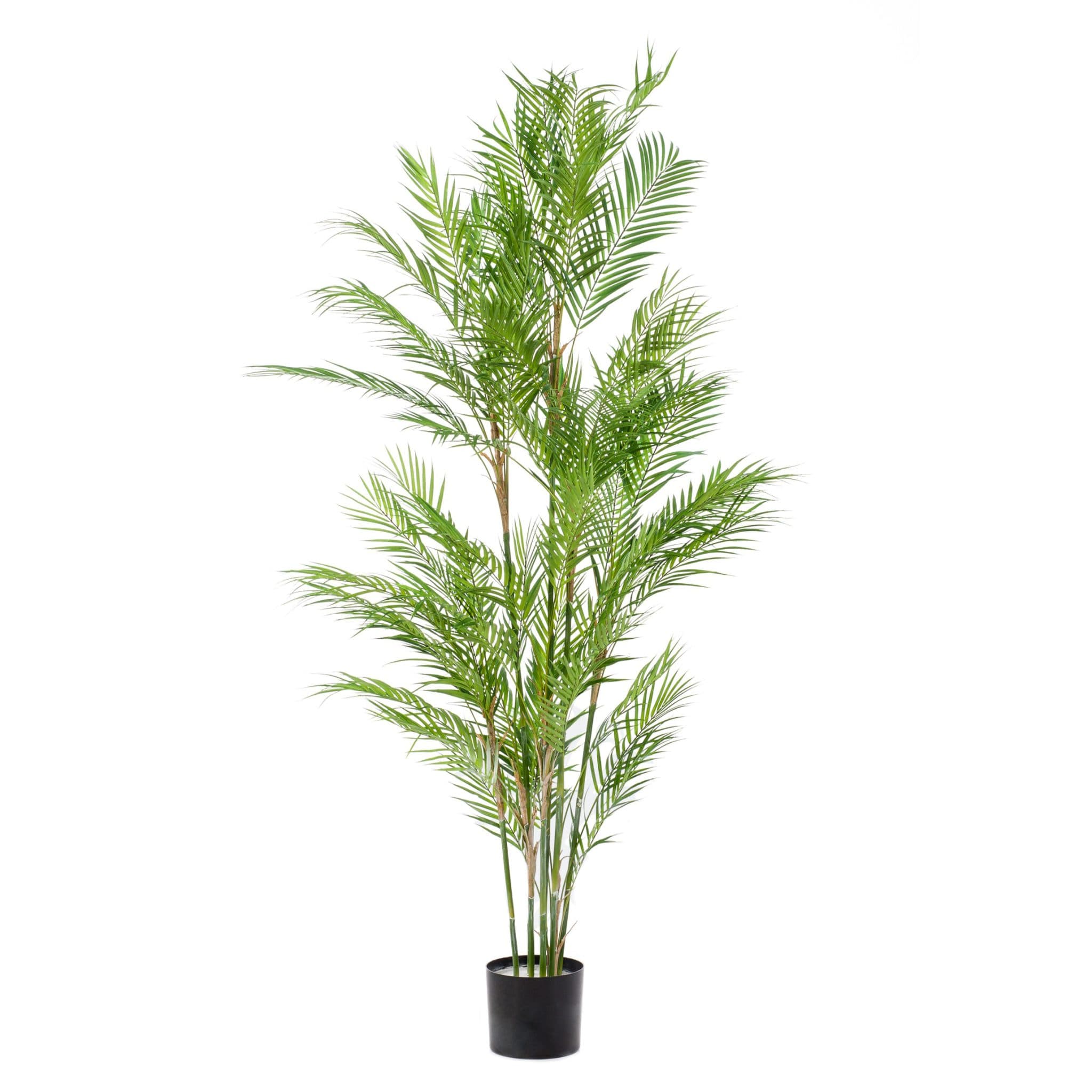 Palmboom Style Decoplanta