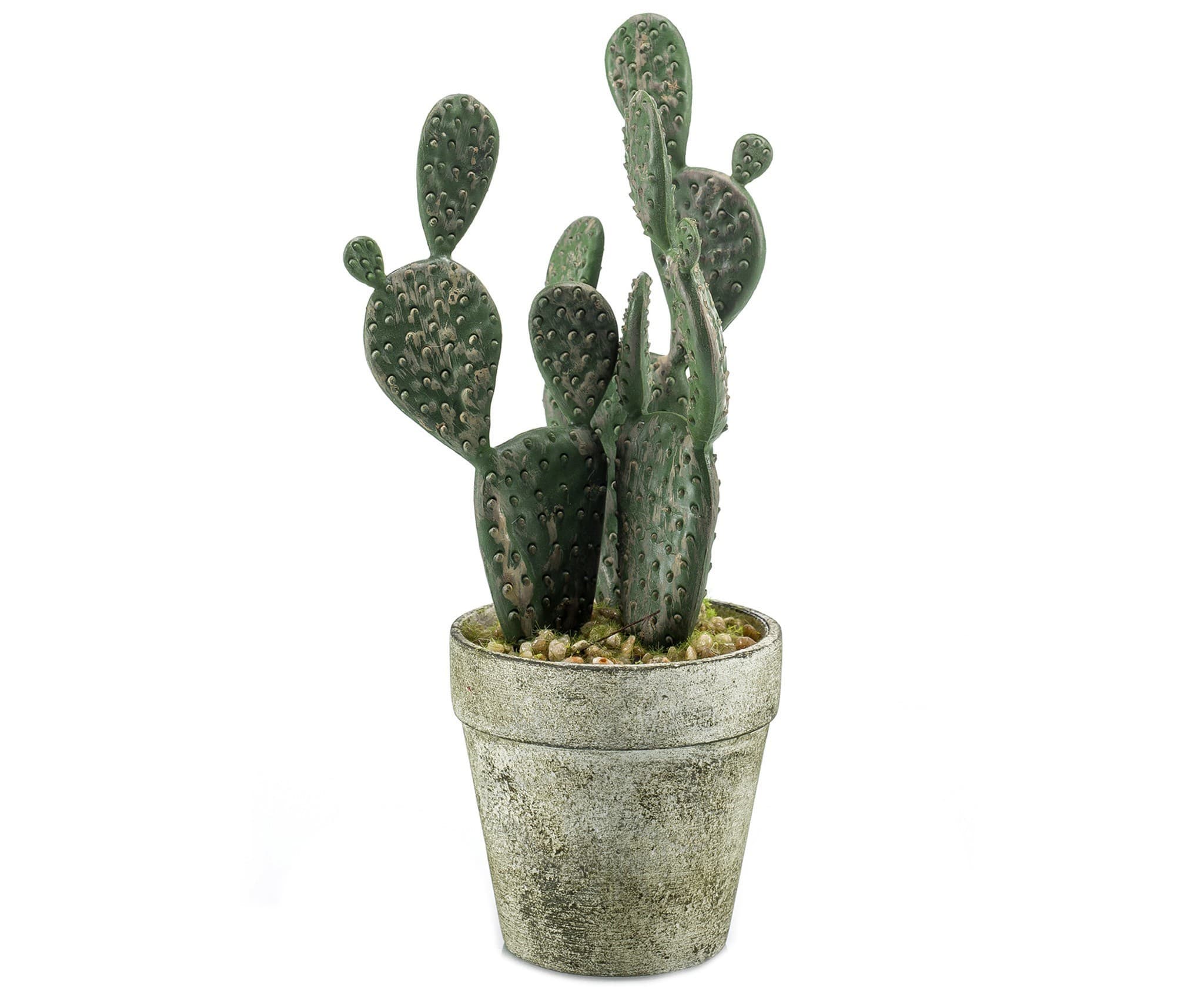 Platt Kaktus Mini Decoplanta