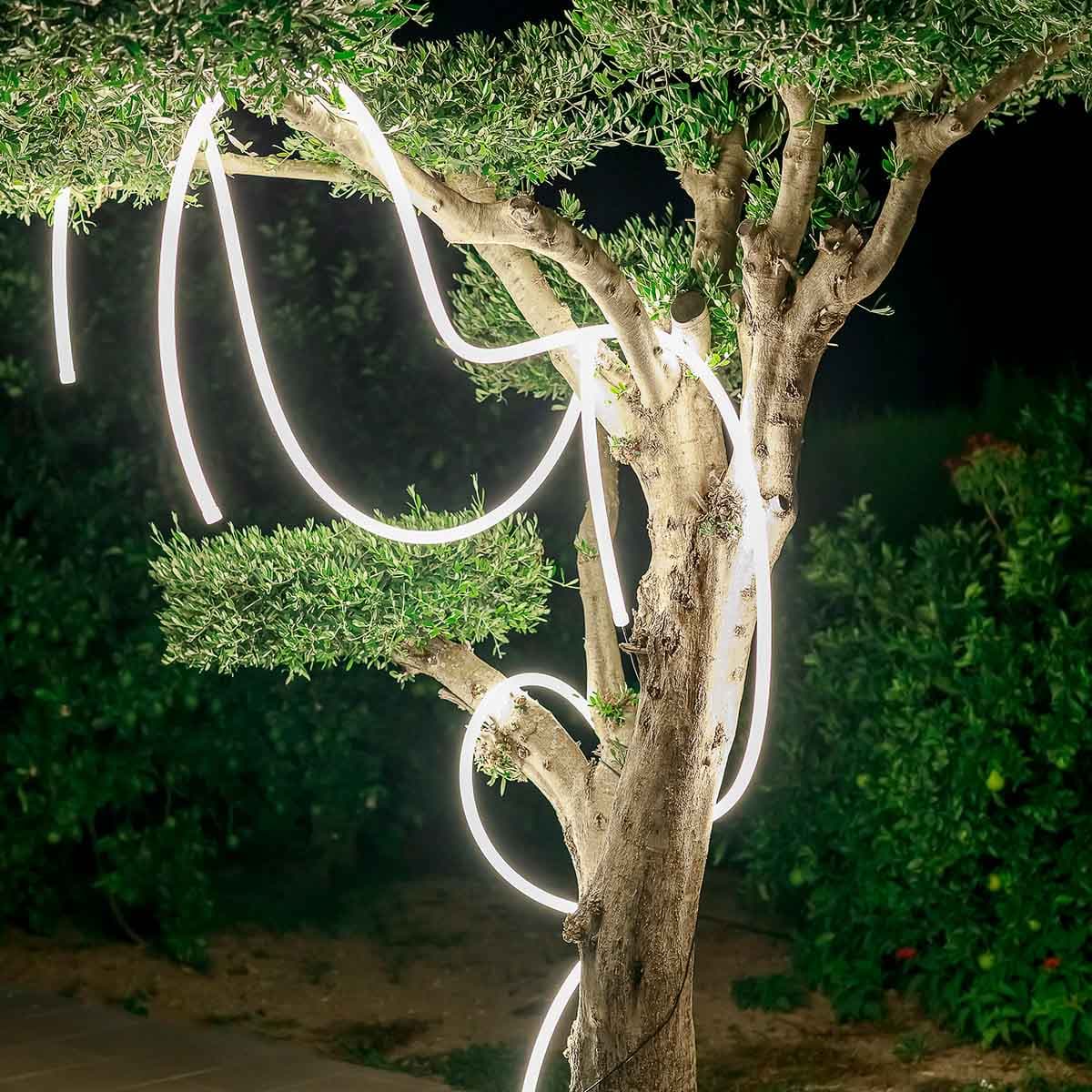 Mains-Powered Lights