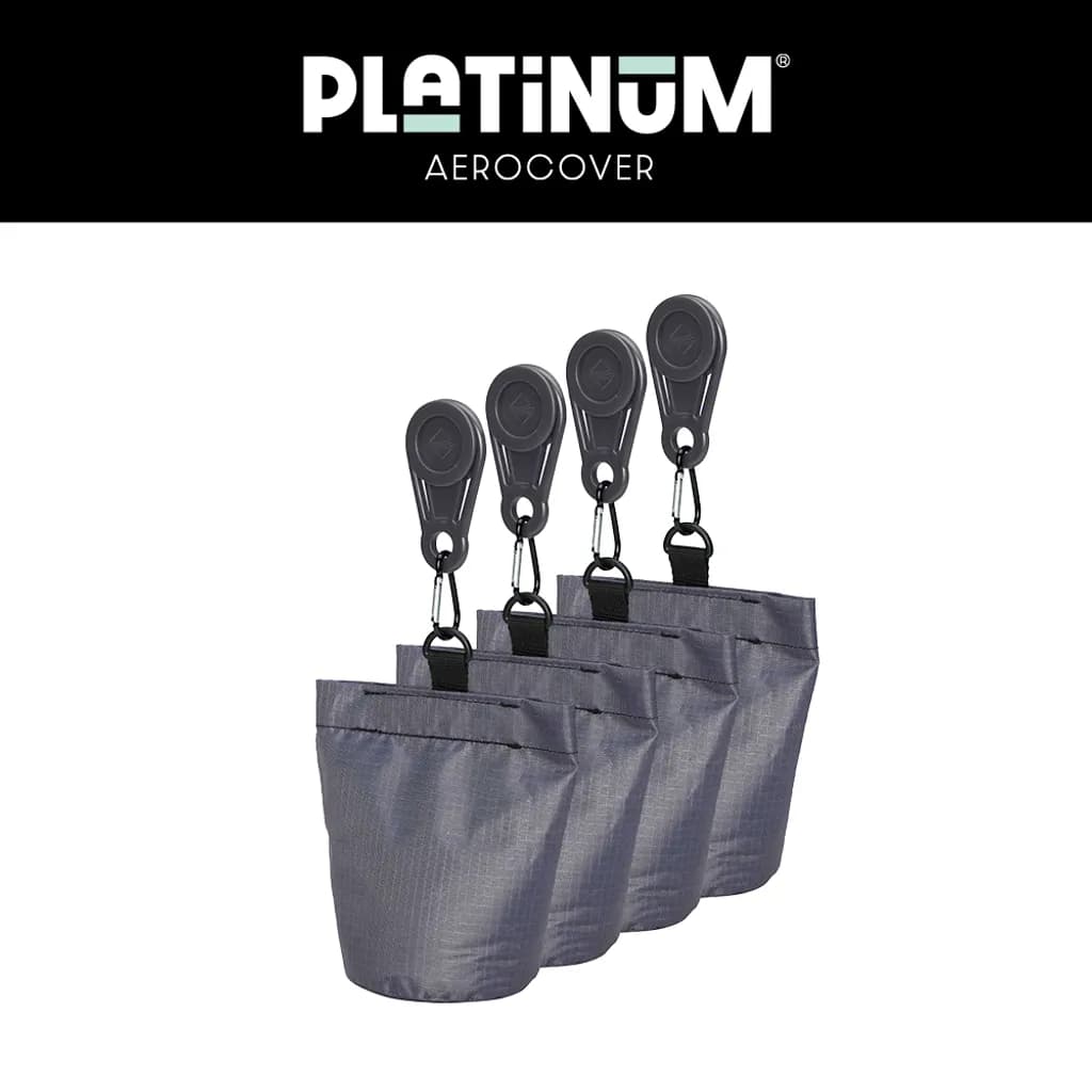 Sacchetti di sabbia per custodia Platinum