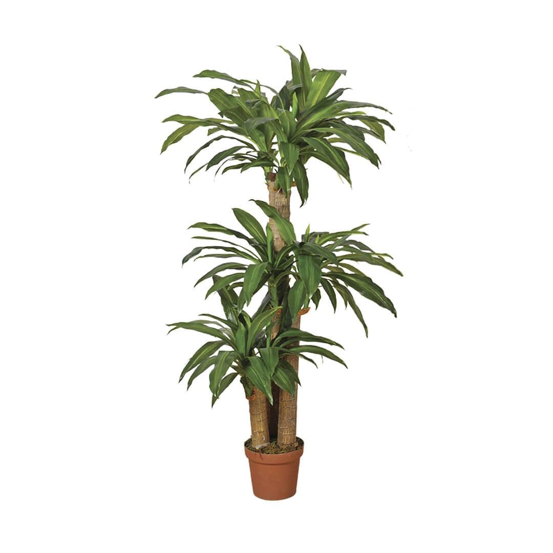 Catral Dracaena Artificial Plant