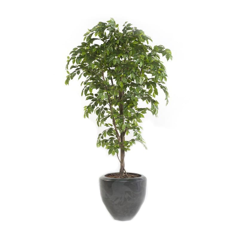 Kunstficus Premium Decoplanta